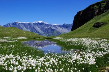 экскурсия маленькая швейцария